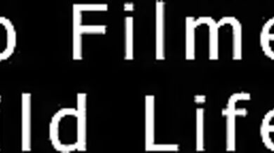 Animalistic Orgy: The Erotic Adventure