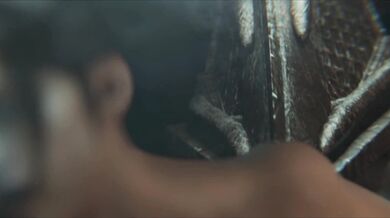 Claire & Pubes Head [Pussy Fuzz][Zmsfm]