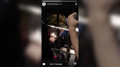 Harley's Interrogation: Two Hardcore Cops at Work [ShadyLewds]