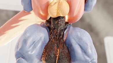 'The Twin Dragons of the Landscape'