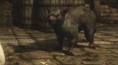 Jiggling Jugs: A Sensual Dance