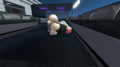 - Pussy Playtime with my Kitty