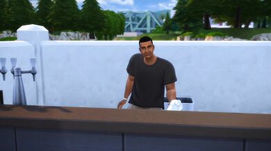 Rockstar's Depraved Life of Luxury and Excess (Complete Series)