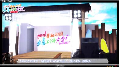 Sexy Mommas Mixed Martial Arts Bikini Contest 2 - The Winner Takes All!