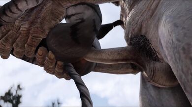 - Big Dicked Giant Breds Tiny Kitty