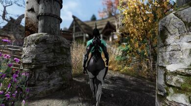 Nyx's Unsuccessful Journey [Lizard3469]