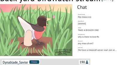 Birds and Bees: A Backyard Voyeur's Dream Come True [Dynablade_Savior]