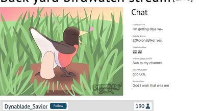 Birds and Bees: A Backyard Voyeur's Dream Come True [Dynablade_Savior]