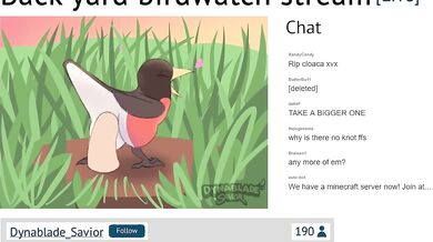 Birds and Bees: A Backyard Voyeur's Dream Come True [Dynablade_Savior]