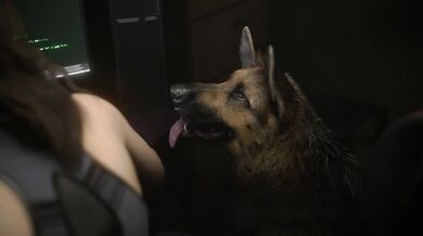 Claire's Puppy [pog benis]
- A young woman named Claire who has a cute and playful dog with a penchant for licking.In the midst of a zombie apocalypse, Leon Kennedy and Claire Redfield find themselves caught in the middle of a sinister conspiracy. As the