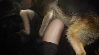 Claire's Puppy [pog benis]
- A young woman named Claire who has a cute and playful dog with a penchant for licking.In the midst of a zombie apocalypse, Leon Kennedy and Claire Redfield find themselves caught in the middle of a sinister conspiracy. As the