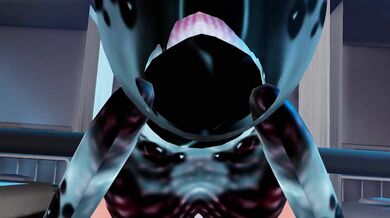 [LoSos] Insect Debut Video