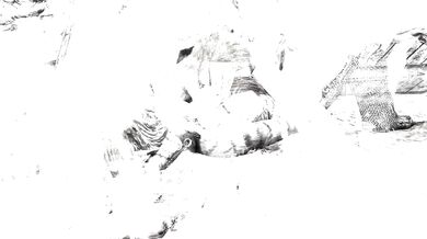 Khajiiti's Virgin Daughter Taken by Necrophiliac Hounds