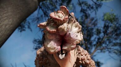 Alice's Orgasmic Clicker Adventure in 4K!