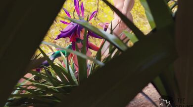 Neiko The Count: The Hentai Necrophilia Edition