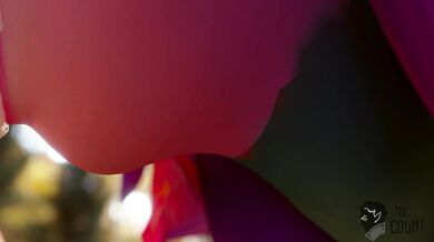 Neiko The Count: The Hentai Necrophilia Edition