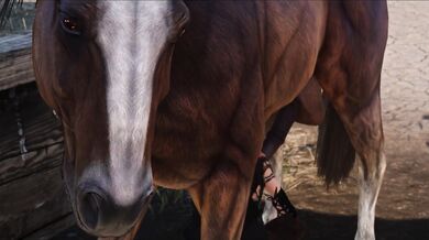 The Filthy Full-Grown Fuckfest Continues with Horse Camilla Part 3!