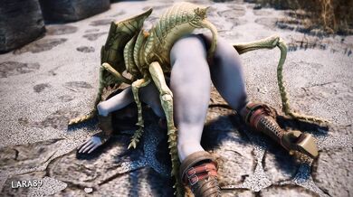 The Dark Elfs Ash Horse Ride