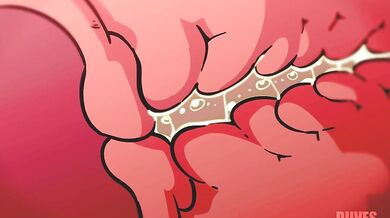 GIRLS FIGHTING AND EATING OUT - DIVES