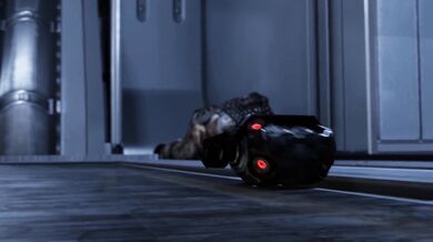 Taken and Violated By the Allied Forces: Normandy Invasion Edition