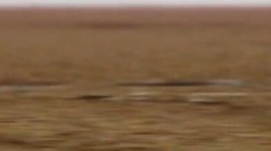 Shimakaze Gets Wiggly and Naughty in 'D' Version of Adult MMD Video