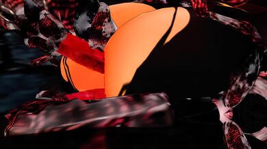 Ladybug Loves Mating with an Elf in the Forest