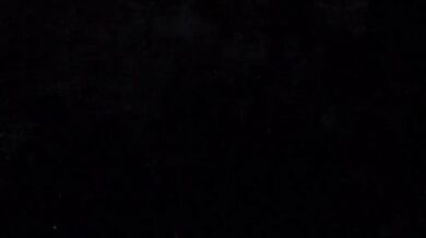 Futanari Filth: Urban Underground's 3D XXX Animation by JT2XTREME