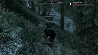 Spriggan Matron Takes on the Beasts of Skyrim