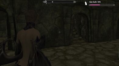 Spriggan Matron Takes on the Beasts of Skyrim