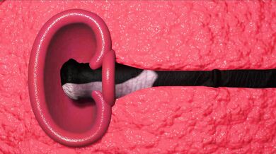 Wonder Wetting: The Horse Fucks Wonder Woman Hard [TheNewVice]