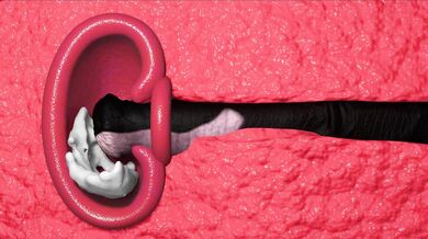 Wonder Wetting: The Horse Fucks Wonder Woman Hard [TheNewVice]