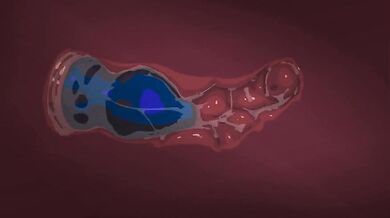 Sleeping Beauty's Crevasse - Exploring Her Fabled Chamber of Pleasure