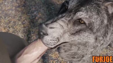 ``` The wolf with a big dick blows his furry lovers mind in Wet Furs!