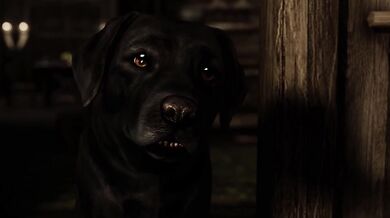 Unleashing the Beast: How Her New Dog Brings Out Her Inner Animal in the Bedroom