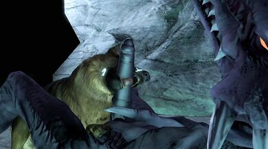 - Canine Carnal Knowledge with Ridley: A Pornographic Short Film