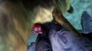 - Canine Carnal Knowledge with Ridley: A Pornographic Short Film