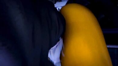 Renamon and Krystal's Steamy Sexcapades