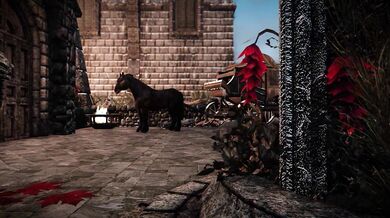 Horse Cock Loving Serena in 4K Resolution