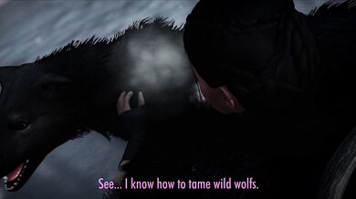 Wild Wolf Fuckfest: Tamed and Ravaged by Human Sex Gods