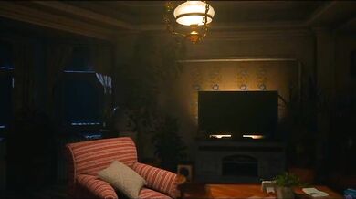 The Ceremony - The Movie