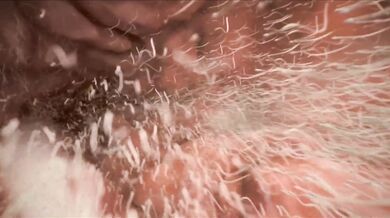 Piper and the Stallion II - The Horsecock Chronicles