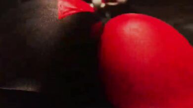 The Jokers Slave - Harley Quinns Ultimate Submission