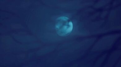 Unleashing the Beast Within: A Furry Tale of Lust and Desire [Eipril]