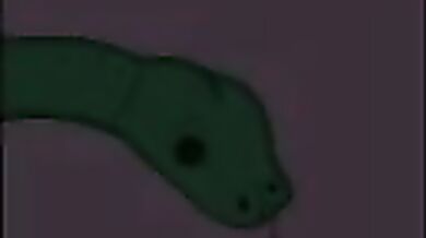 Up and Down, In and Out - A Lusty Ride in the Elevator