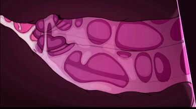 Chelody's Ritual Fuckfest