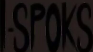 The Bitch Has a Secret (DVD)