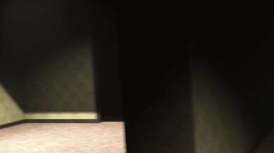 Fuckrooms Without VHS: Raw and Uncut R.R. Edition