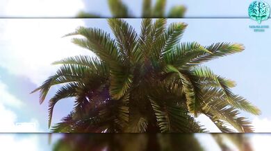 Slutty College Girl Gets Pounded by Two Guys in a Hotel Room