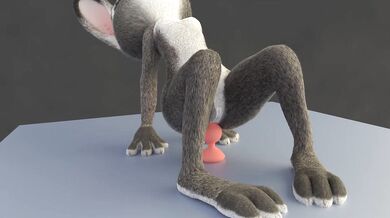 Adam and Fluffy's Anal Adventures with Judy