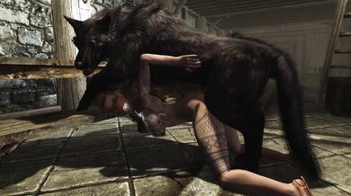 - Stray Wolf's Hideaway: A Lustful Encounter